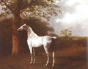 Agasse, Jacques-Laurent White Horse in Pasture oil painting on canvas